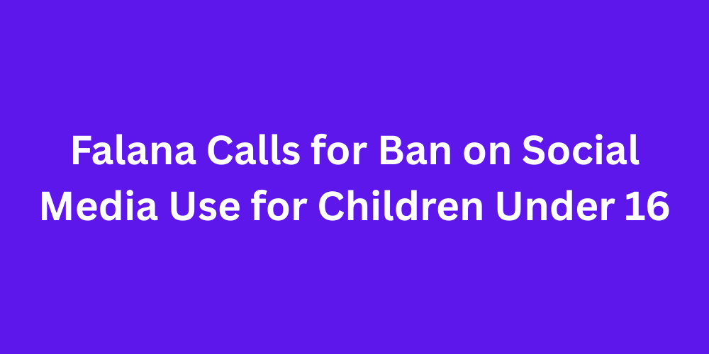 Falana Calls for Ban on Social Media Use for Children Under 16