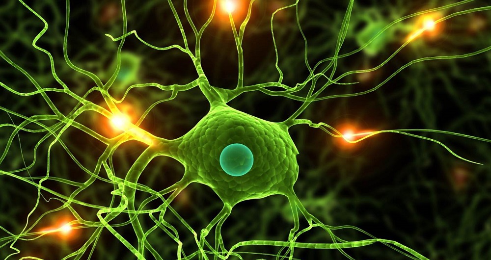 Concise JAMB Biology Syllabus With Number Of Question Analysis